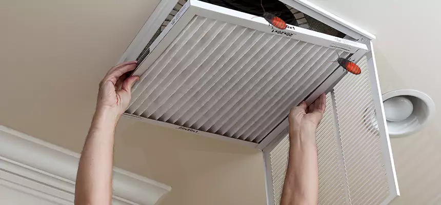 Preventive Cockroach-Proofing for Ducts in Methuen