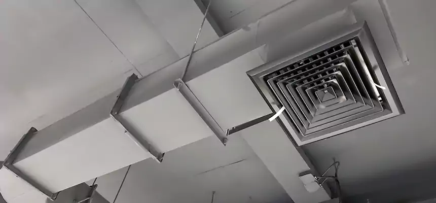 Our Pest Removal From Ducts Services in Methuen, MA