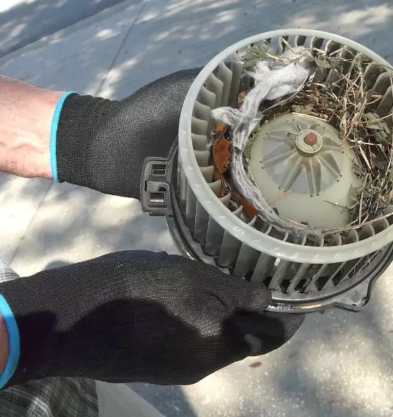 About Air Duct Mice Removal in Methuen, MA