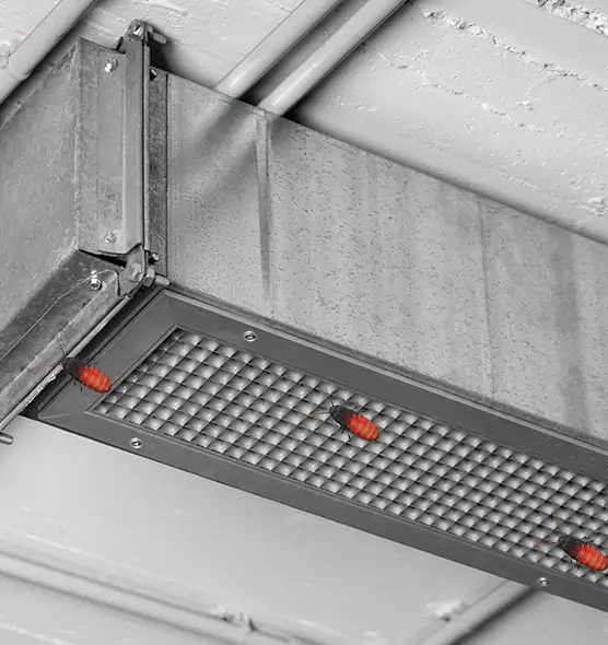 Affordable Insect Removal from Air Ducts in Methuen, MA