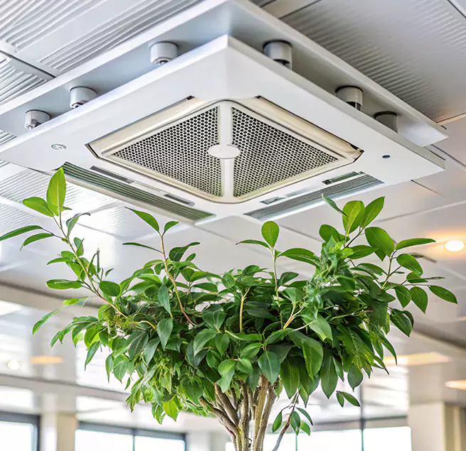 Why Homeowners & Businesses Trust Us in Methuen, MA?